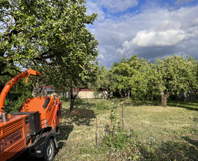 Avarinių medžių pjovimas/ žolės pjovimas. / Arboristas Egidijus / Darbų pavyzdys ID 3081358
