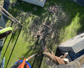 Avarinių medžių pjovimas/ žolės pjovimas. / Arboristas Egidijus / Darbų pavyzdys ID 3081366