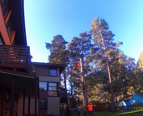 Pavojingų medžių pjovimas, medžių pjovimas, kelmų frezavimas / MB "Justin's Group" / Darbų pavyzdys ID 3082160