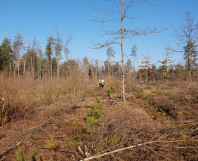 Jaunuolynų ugdymas / MB"Aprojektai" / Darbų pavyzdys ID 3083478