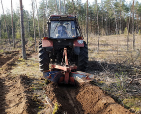 Jaunuolynų ugdymas / MB"Aprojektai" / Darbų pavyzdys ID 3083494