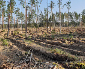 Jaunuolynų ugdymas / MB"Aprojektai" / Darbų pavyzdys ID 3083500