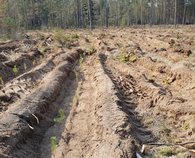 Jaunuolynų ugdymas / MB"Aprojektai" / Darbų pavyzdys ID 3083502