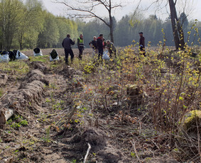 Jaunuolynų ugdymas / MB"Aprojektai" / Darbų pavyzdys ID 3083506