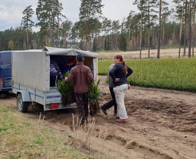 Jaunuolynų ugdymas / MB"Aprojektai" / Darbų pavyzdys ID 3083514