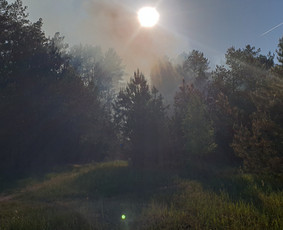 Jaunuolynų ugdymas / MB"Aprojektai" / Darbų pavyzdys ID 3083530