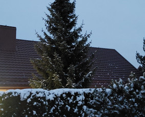 Stogdengys Naujastatyba Senų renovacija,remontas,lankstiniai / MB ,, Andjusta Statyba " / Darbų pavyzdys ID 3087944