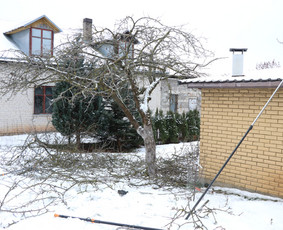 Vaismedžių/medžių genėjimas, gyvatvorių karpymas, šienavimas / Pavelas / Darbų pavyzdys ID 3088354