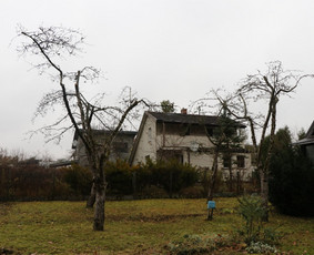 Vaismedžių/medžių genėjimas, gyvatvorių karpymas, šienavimas / Pavelas / Darbų pavyzdys ID 3088358