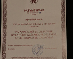 Vaismedžių/medžių genėjimas, gyvatvorių karpymas, šienavimas / Pavelas / Darbų pavyzdys ID 3088842