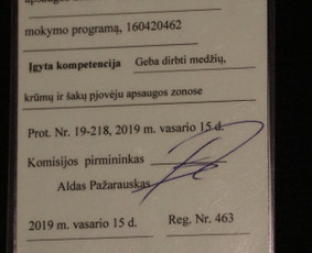Vaismedžių/medžių genėjimas, gyvatvorių karpymas, šienavimas / Pavelas / Darbų pavyzdys ID 3088850
