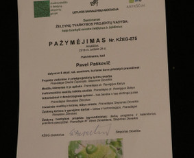 Vaismedžių/medžių genėjimas, gyvatvorių karpymas, šienavimas / Pavelas / Darbų pavyzdys ID 3088852