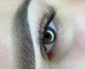 Antakių permanentinis makiažas - Permanento baziniai mokymai - 4