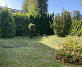 Sezoniai aplinkos tvarkymo darbai / MB Žalia samana / Darbų pavyzdys ID 3091922