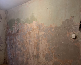 Pagalbinis darbininkas / įvarius pagalbinio darbai / Andžej B. / Darbų pavyzdys ID 3093067