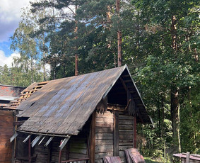 Pagalbinis darbininkas / įvarius pagalbinio darbai / Andžej B. / Darbų pavyzdys ID 3093089