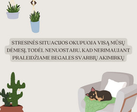 Psichologinis konsultavimas pagal Ket / Dovilė Maižvilaitė / Darbų pavyzdys ID 3094233