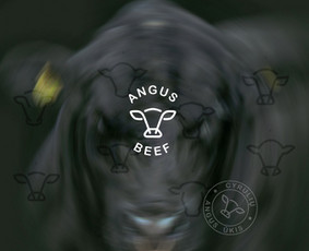 Logo, firminiai stiliai, pakuotės. Jūsų sėkmė = mano sėkmė / Vaida Vidmantaitė / Darbų pavyzdys ID 3097453