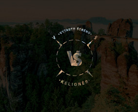 Logo, firminiai stiliai, pakuotės. Jūsų sėkmė = mano sėkmė / Vaida Vidmantaitė / Darbų pavyzdys ID 3098181