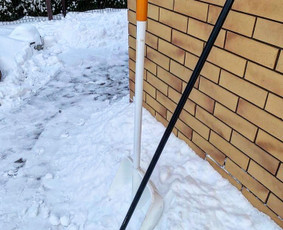 Genėjimas, apželdinimas ir kiti aplinkotvarkos darbai / Dainius Kubilius / Darbų pavyzdys ID 3098329