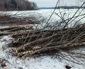 Giluminis žemės ir kelmų frezavimas, aplinkos priežiūra - Šakų smulkinimas - 3 Šakų smulkinimas - Giluminis žemės ir kelmų frezavimas, aplinkos priežiūra - 3