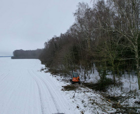 Apleistų teritorijų ir sklypų tvarkymas visoje Lietuvoje / MB Biofora / Darbų pavyzdys ID 3098741