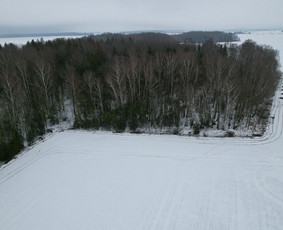 &Scaron;akų smulkinimas - Giluminis žemės ir kelmų frezavimas, aplinkos priežiūra - 4