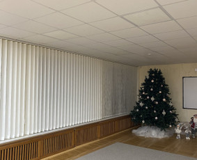 Roletai Manttex / Mantas Gotautas / Darbų pavyzdys ID 3101379