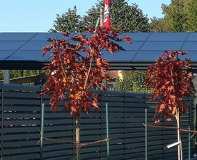 Alternatyvi energija - Stoginės, kurios susimoka už save - 3