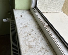 Valymas / Eriklean / Darbų pavyzdys ID 3108811