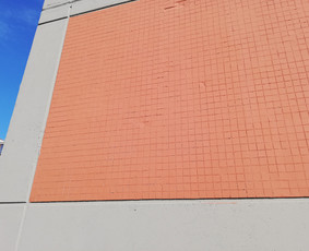 Tarpblokinių siūlių remontas ir kiti aukštuminiai darbai - Dažymo darbai aukštyje - 4 Dažymo darbai aukštyje - Tarpblokinių siūlių remontas ir kiti aukštuminiai darbai - 4