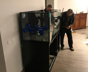 Perkraustymas be streso ir saugiai / MB Domero “Saugiai ir kokybiškai” / Darbų pavyzdys ID 3109869