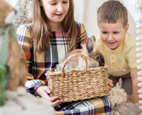 Kūdikių, vaikų fotosesija - &Scaron;eimos ir &scaron;venčių fotografė - 2