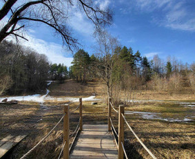 Individualios lietuvių kalbos pamokos rusakalbiams / Lina Sakutė / Darbų pavyzdys ID 3114407