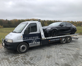 Tralas fiskaras traliukas Tech pagalba kelyje / Aivatrans / Darbų pavyzdys ID 3118857