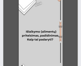 Advokatė Sandra Nargėlaitė Surudienė / Sandra Nargėlaitė Surudienė / Darbų pavyzdys ID 3120311