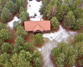 Voverių slėnis / Kęstutis Po / Darbų pavyzdys ID 3123169