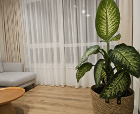 Užuolaidos ir romanetės jaukiems namams ! / Kristina / Darbų pavyzdys ID 3123967