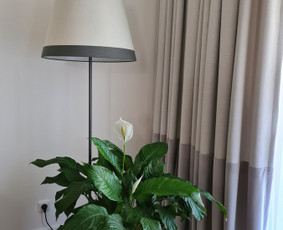 Užuolaidos ir romanetės jaukiems namams ! / Kristina / Darbų pavyzdys ID 3123993