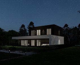 Individualių namų projektavimas, interjero projektavimas / CONCEPTHAUS, MB / Darbų pavyzdys ID 3124419