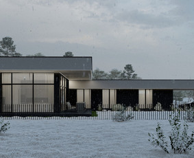Individualių namų projektavimas, interjero projektavimas / CONCEPTHAUS, MB / Darbų pavyzdys ID 3124619