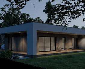 Individualių namų projektavimas, interjero projektavimas / CONCEPTHAUS, MB / Darbų pavyzdys ID 3124629