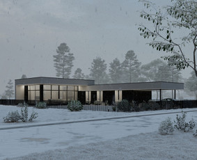 Individualių namų projektavimas, interjero projektavimas / CONCEPTHAUS, MB / Darbų pavyzdys ID 3124771
