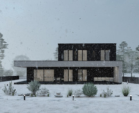 Individualių namų projektavimas, interjero projektavimas / CONCEPTHAUS, MB / Darbų pavyzdys ID 3124775
