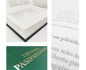 Profesionalus maketavimas / Knygos / Justina Vaitkienė / Darbų pavyzdys ID 3126183