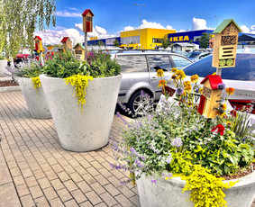 Žalių erdvių dizainas / Elebores / Darbų pavyzdys ID 3129827