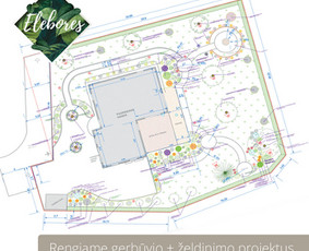 Žalių erdvių dizainas / Elebores / Darbų pavyzdys ID 3129847