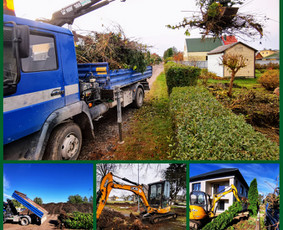 Apleistų sklypų tvarkymas, Šakų išvežimas/smulkinimas / Nuteka, MB / Darbų pavyzdys ID 3133307