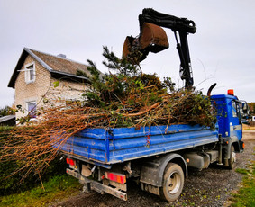 Apleistų sklypų tvarkymas, Šakų išvežimas/smulkinimas - Šakų išvežimas - 1 Šakų išvežimas - Apleistų sklypų tvarkymas, Šakų išvežimas/smulkinimas - 1