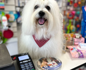 Šuniukų/ kačių grožio salonas, šunų kirpėja / My Sweet Puppy / Darbų pavyzdys ID 3134035
